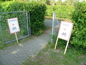 RTF Celle Mirco 36